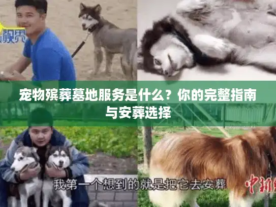 宠物殡葬墓地服务是什么？你的完整指南与安葬选择