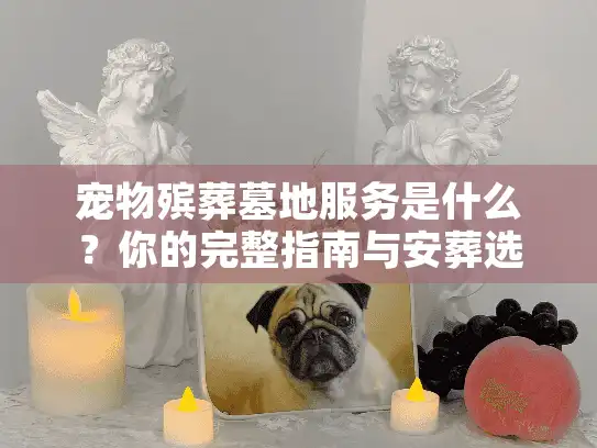 宠物殡葬墓地服务是什么？你的完整指南与安葬选择