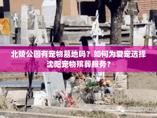 北陵公园有宠物墓地吗？如何为爱宠选择沈阳宠物殡葬服务？