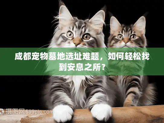 成都宠物墓地选址难题，如何轻松找到安息之所？