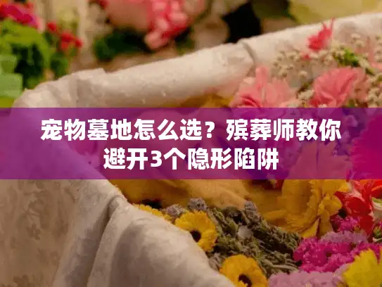 宠物墓地怎么选？殡葬师教你避开3个隐形陷阱