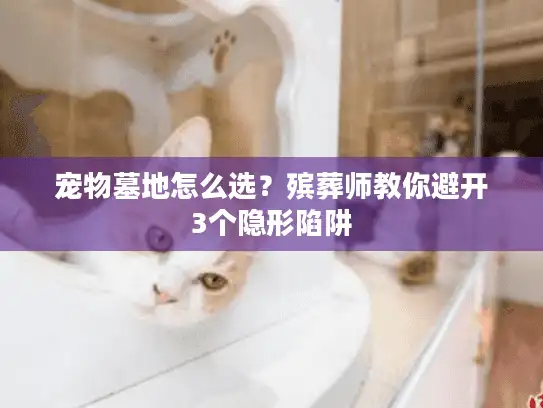 宠物墓地怎么选？殡葬师教你避开3个隐形陷阱