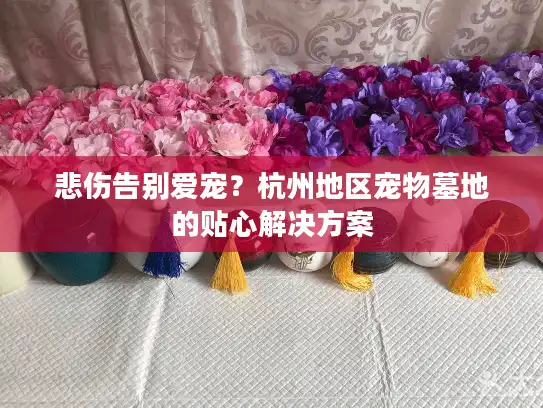 悲伤告别爱宠？杭州地区宠物墓地的贴心解决方案