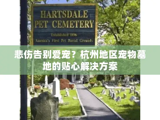 悲伤告别爱宠？杭州地区宠物墓地的贴心解决方案