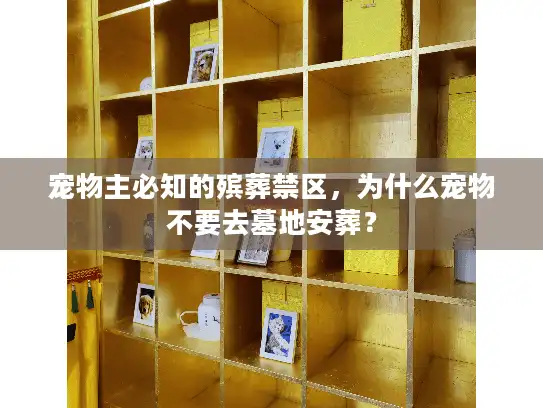 宠物主必知的殡葬禁区，为什么宠物不要去墓地安葬？
