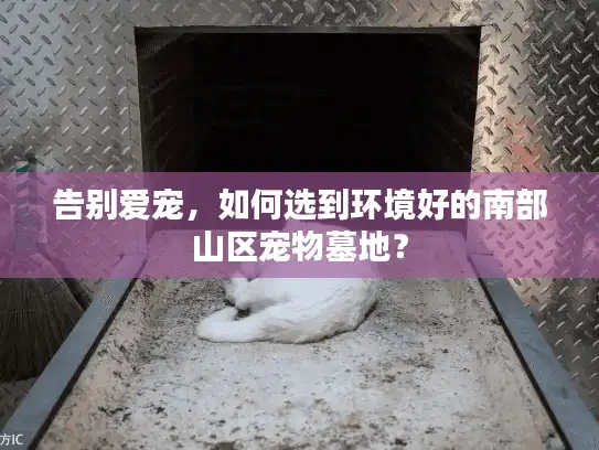 告别爱宠，如何选到环境好的南部山区宠物墓地？