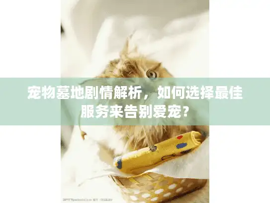 宠物墓地剧情解析，如何选择最佳服务来告别爱宠？