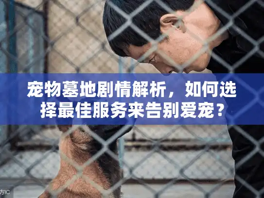 宠物墓地剧情解析，如何选择最佳服务来告别爱宠？