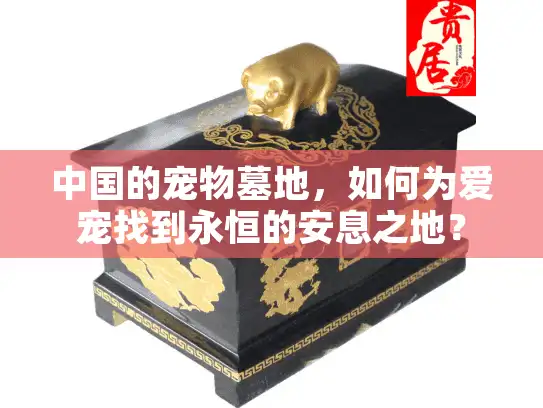 中国的宠物墓地，如何为爱宠找到永恒的安息之地？