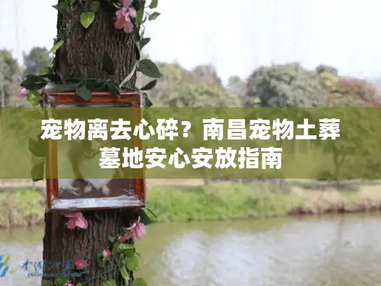 宠物离去心碎？南昌宠物土葬墓地安心安放指南