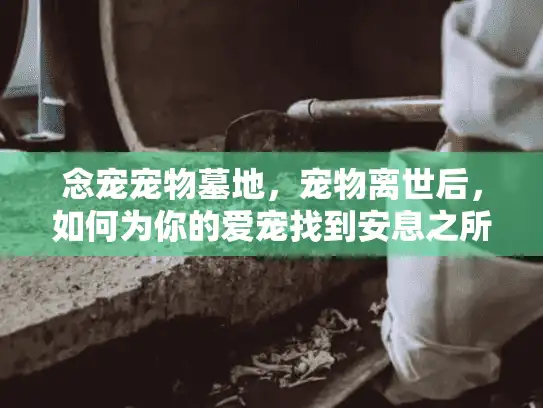 念宠宠物墓地，宠物离世后，如何为你的爱宠找到安息之所？