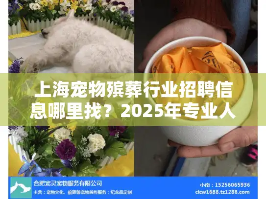 上海宠物殡葬行业招聘信息哪里找？2025年专业人才缺口分析