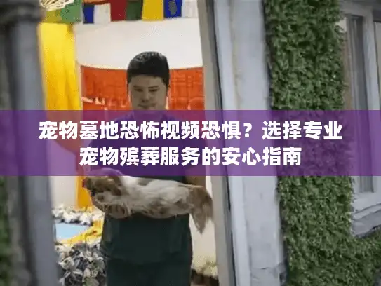 宠物墓地恐怖视频恐惧？选择专业宠物殡葬服务的安心指南