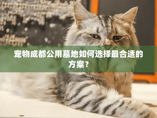 宠物成都公用墓地如何选择最合适的方案？