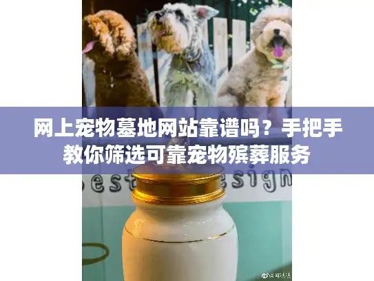 网上宠物墓地网站靠谱吗？手把手教你筛选可靠宠物殡葬服务