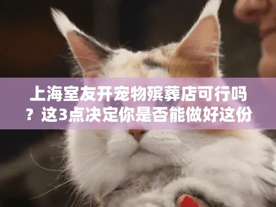上海室友开宠物殡葬店可行吗？这3点决定你是否能做好这份事业