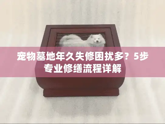 宠物墓地年久失修困扰多？5步专业修缮流程详解