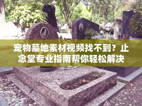 宠物墓地素材视频找不到？止念堂专业指南帮你轻松解决