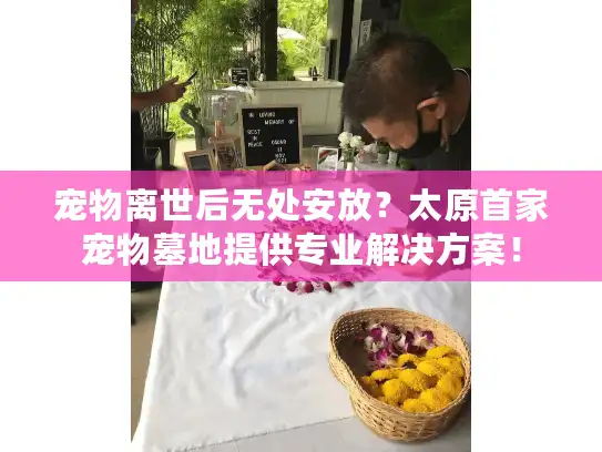宠物离世后无处安放？太原首家宠物墓地提供专业解决方案！
