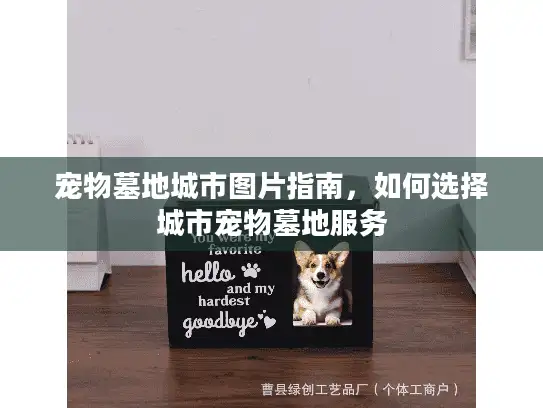 宠物墓地城市图片指南，如何选择城市宠物墓地服务