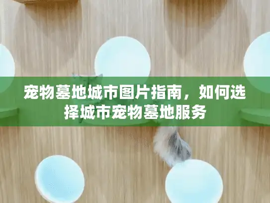 宠物墓地城市图片指南，如何选择城市宠物墓地服务