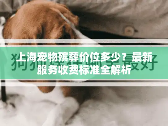 上海宠物殡葬价位多少？最新服务收费标准全解析