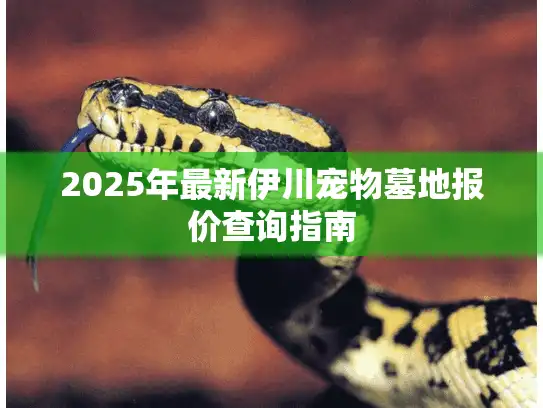 2025年最新伊川宠物墓地报价查询指南