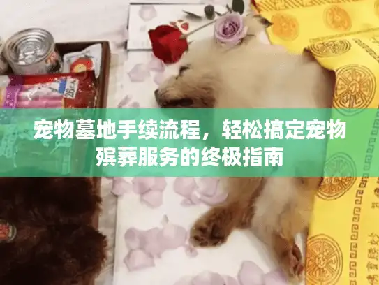 宠物墓地手续流程，轻松搞定宠物殡葬服务的终极指南