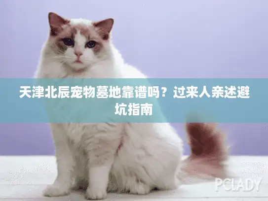 天津北辰宠物墓地靠谱吗？过来人亲述避坑指南
