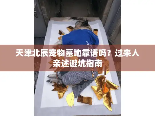天津北辰宠物墓地靠谱吗？过来人亲述避坑指南