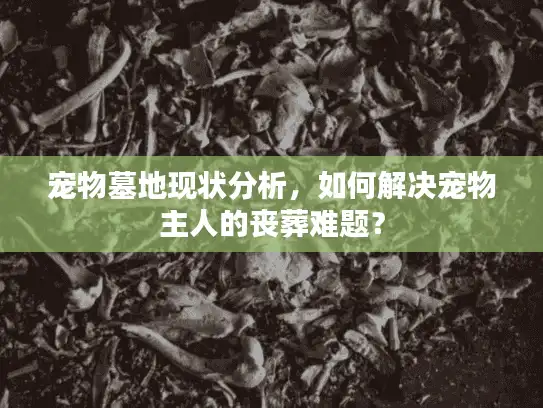 宠物墓地现状分析，如何解决宠物主人的丧葬难题？