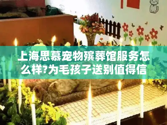上海思慕宠物殡葬馆服务怎么样?为毛孩子送别值得信赖吗?