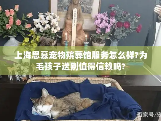 上海思慕宠物殡葬馆服务怎么样?为毛孩子送别值得信赖吗?