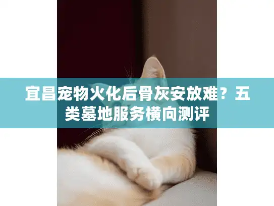 宜昌宠物火化后骨灰安放难？五类墓地服务横向测评