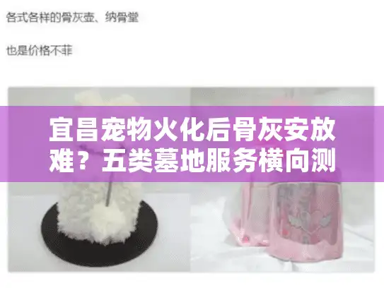 宜昌宠物火化后骨灰安放难？五类墓地服务横向测评