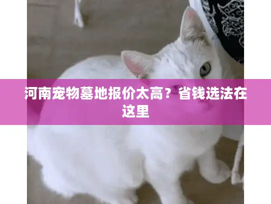 河南宠物墓地报价太高？省钱选法在这里
