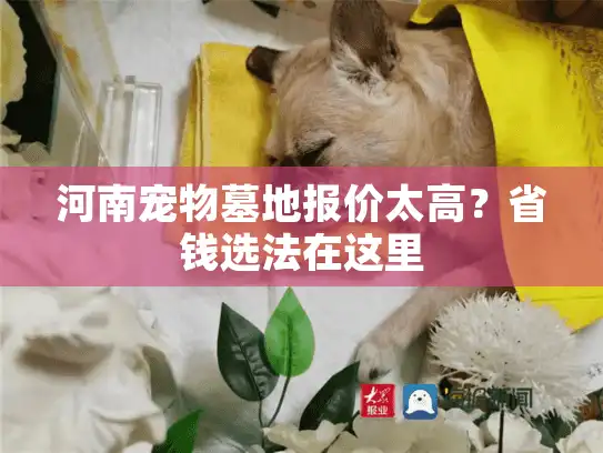 河南宠物墓地报价太高？省钱选法在这里