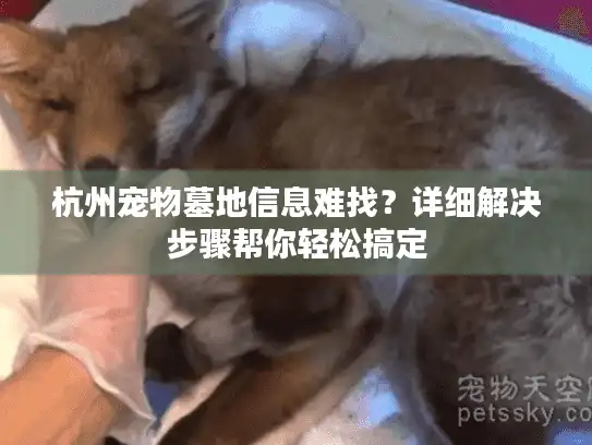 杭州宠物墓地信息难找？详细解决步骤帮你轻松搞定