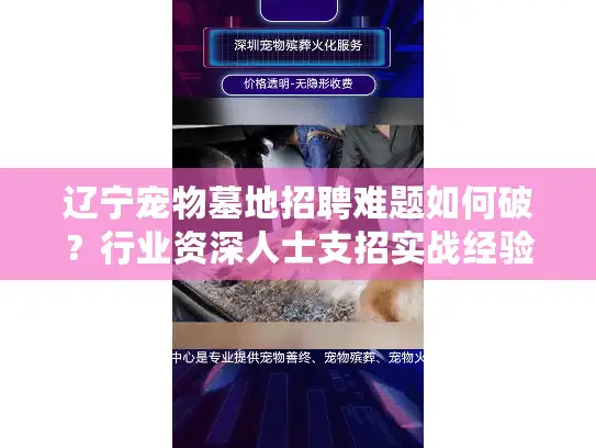 辽宁宠物墓地招聘难题如何破？行业资深人士支招实战经验