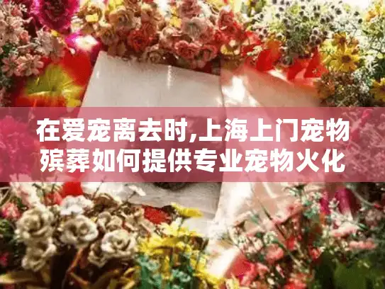 在爱宠离去时,上海上门宠物殡葬如何提供专业宠物火化服务?