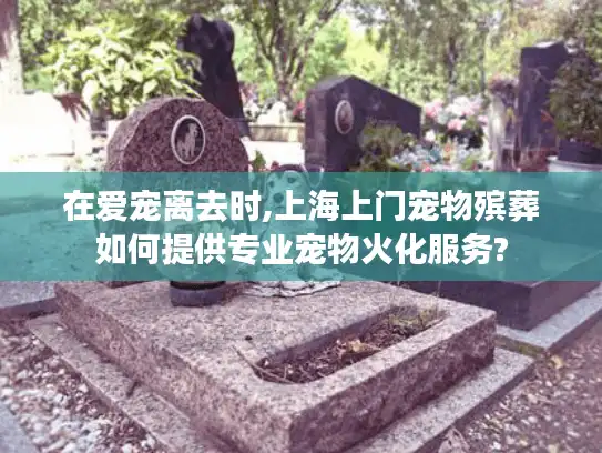 在爱宠离去时,上海上门宠物殡葬如何提供专业宠物火化服务?