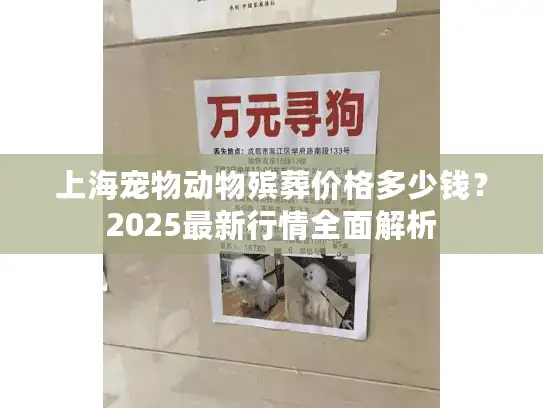 上海宠物动物殡葬价格多少钱？2025最新行情全面解析