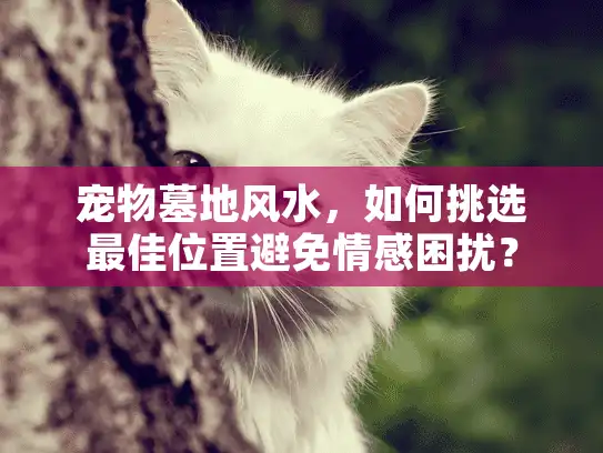 宠物墓地风水，如何挑选最佳位置避免情感困扰？