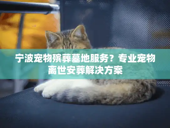 宁波宠物殡葬墓地服务？专业宠物离世安葬解决方案