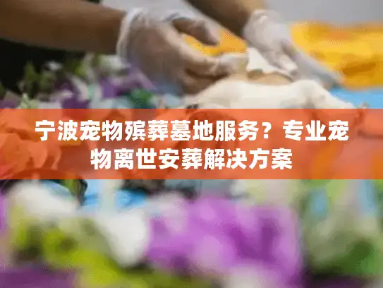 宁波宠物殡葬墓地服务？专业宠物离世安葬解决方案
