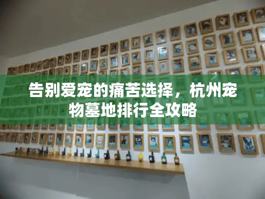 告别爱宠的痛苦选择，杭州宠物墓地排行全攻略