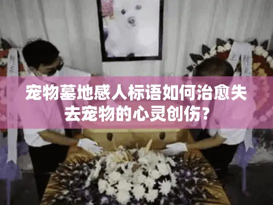 宠物墓地感人标语如何治愈失去宠物的心灵创伤？