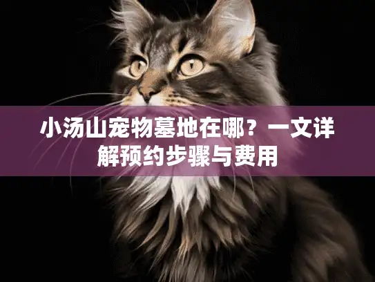 小汤山宠物墓地在哪？一文详解预约步骤与费用