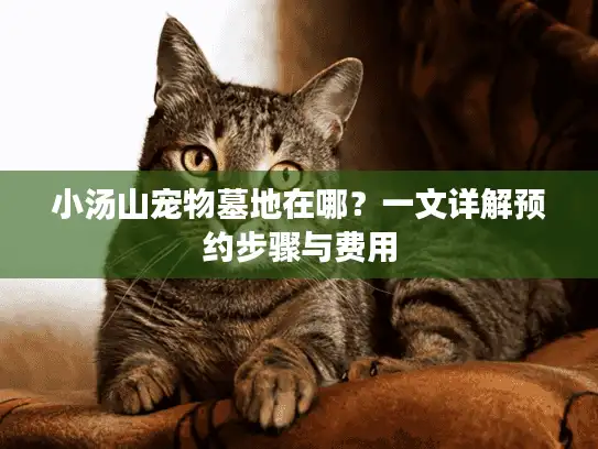 小汤山宠物墓地在哪？一文详解预约步骤与费用