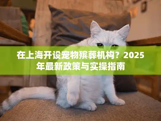 在上海开设宠物殡葬机构？2025年最新政策与实操指南